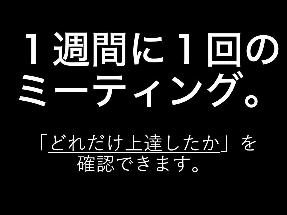 英語の学びを30分のミーティングで後押しします ドイツ留学中の学生から、小中学生とすべての初心者へ イメージ1