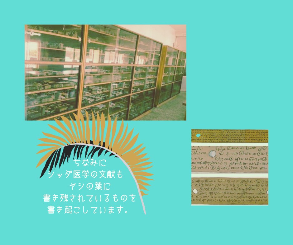 あなたのアガスティアの葉を翻訳・解説します ナーディ翻訳歴９年のシッダ医学専門家が伝え直す聖者の本心 イメージ6