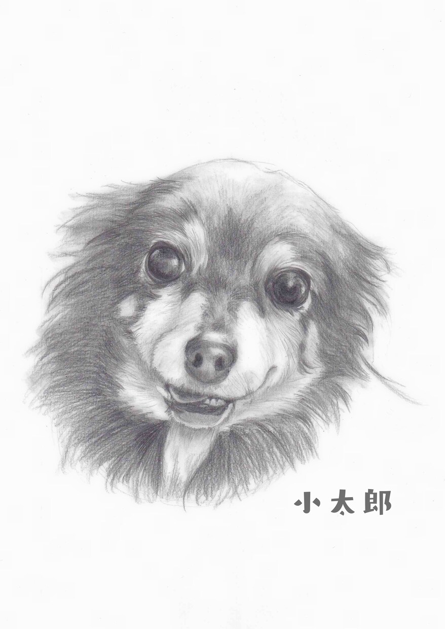 お写真をもとに鉛筆画をお描きします 大事なペットの愛すべきお顔を温かみある絵に イメージ9