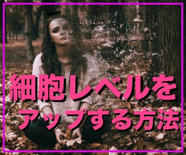 お金をかけずに、強い美肌になる方法を伝えます 高額な化粧品そんなものはいりません。時間も労力もいらない。 イメージ5