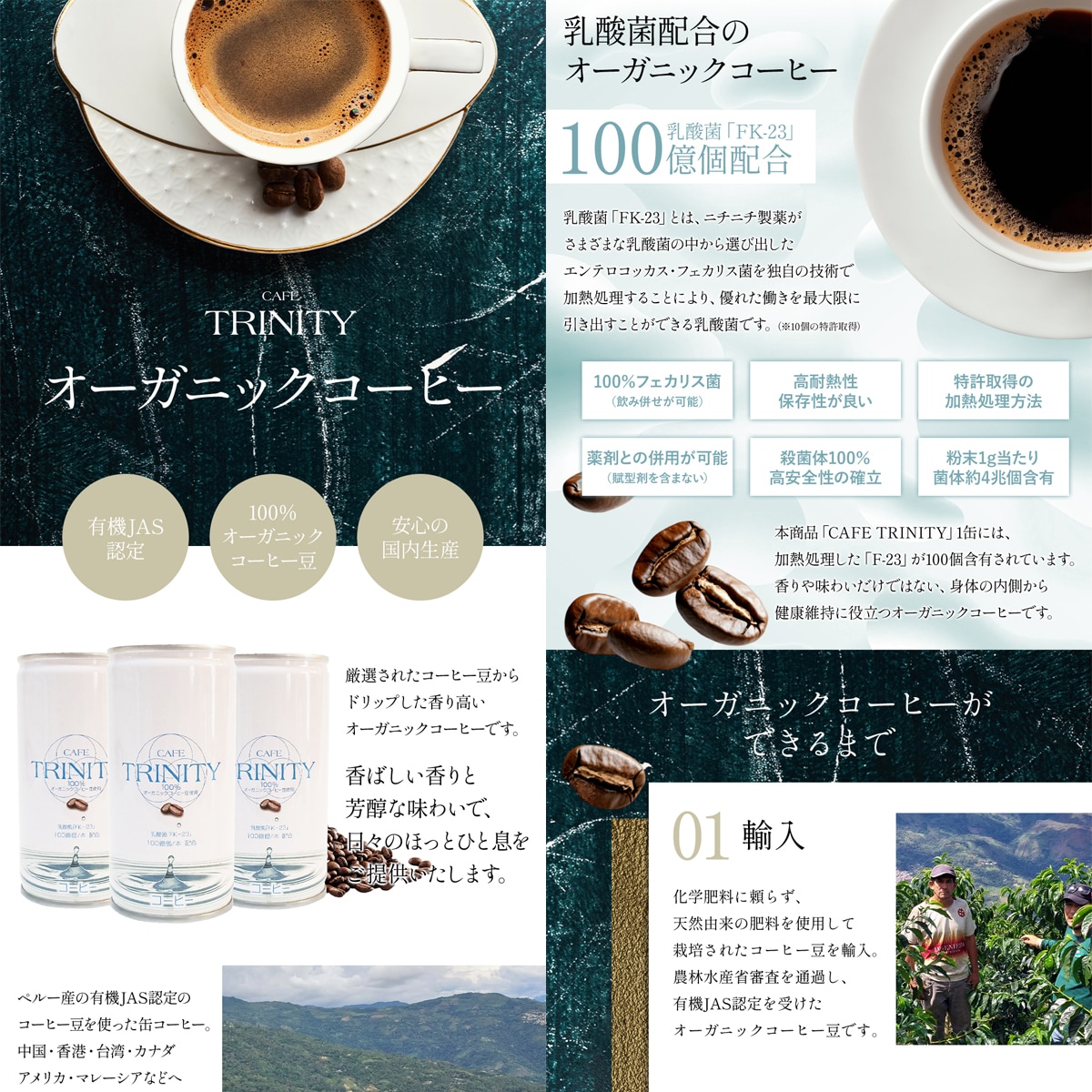 楽天市場・YahooショッピングLP制作いたします 高品質な商品画像10枚＋コーディング付＆レスポンシブ対応！ イメージ2