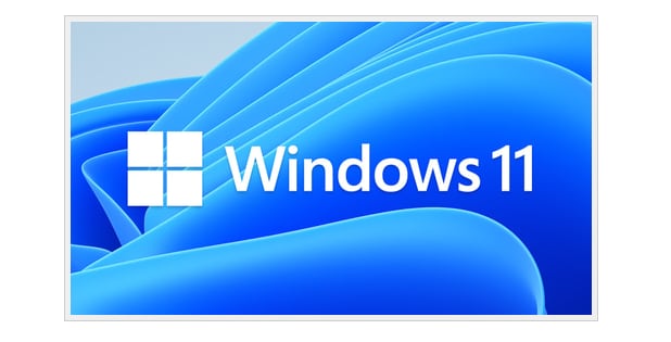 win10をwindows11にupグレードします システム要件を満たしていない古いパソコンでも大丈夫です イメージ3