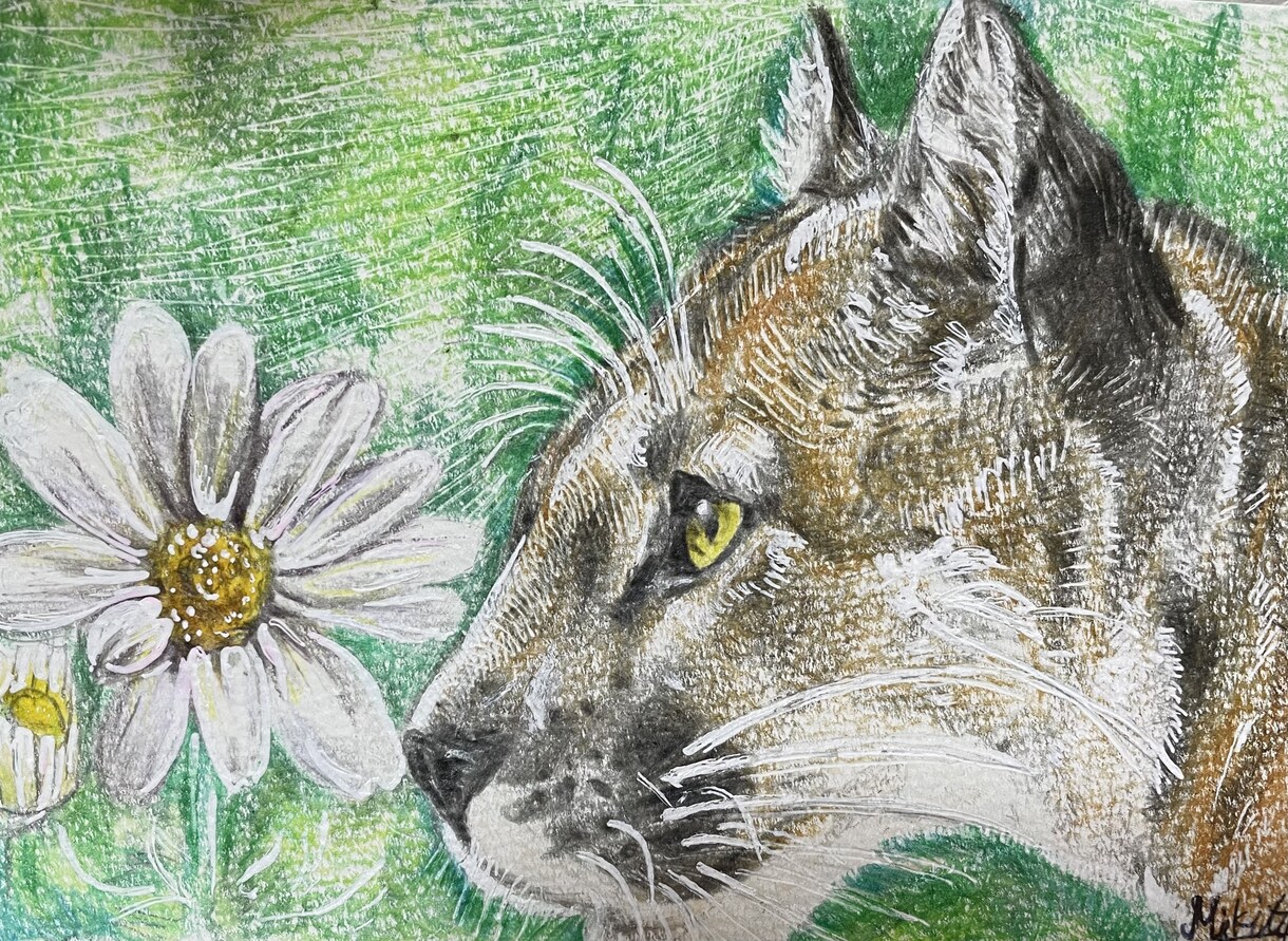 年賀状にも！色鉛筆で動物の絵を描きます 世界でたった一つだけ！動物の可愛い表情を生き生きと描きます イメージ10