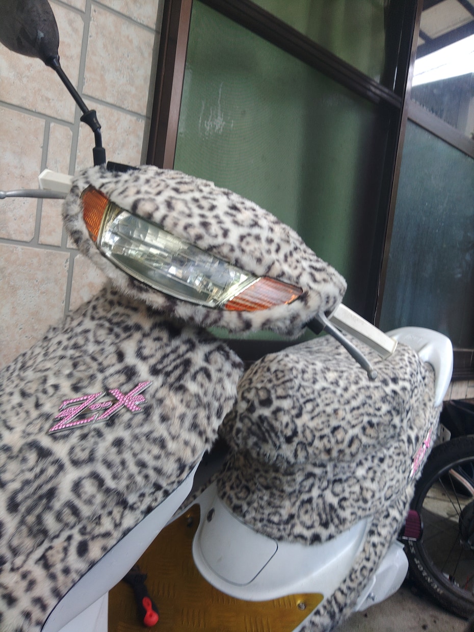 バイク購入前の目利き・不動車の原因究明相談乗ります バイク購入前の目利き・不動車の原因デバッグ相談乗ります イメージ2