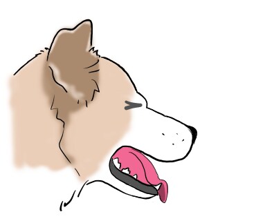 完全手書き！あなたのペットイラストにしちゃいます 写真とはひと味違うあたたかみをアルバムに１枚 イメージ3