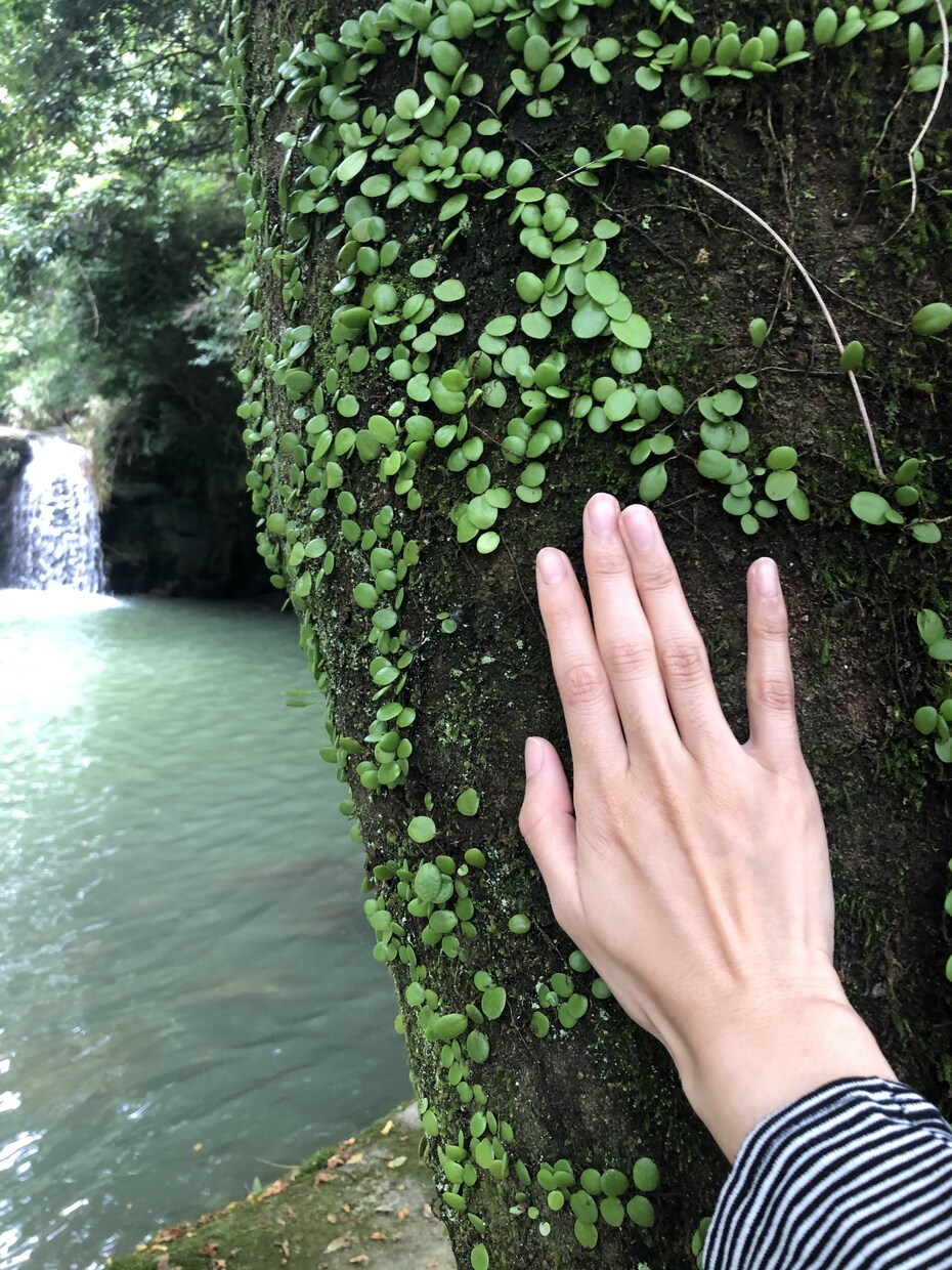 遠隔レイキヒーリング30分します ほんのりした30分間のレイキを～ イメージ1