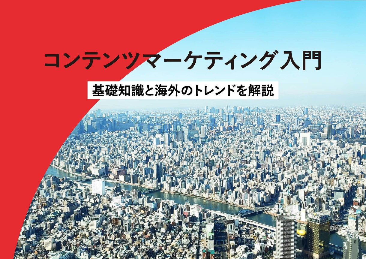 BtoB向けのホワイトペーパー承ります 複雑なサービスの情報を誰にでも分かりやすいデザインにします イメージ8