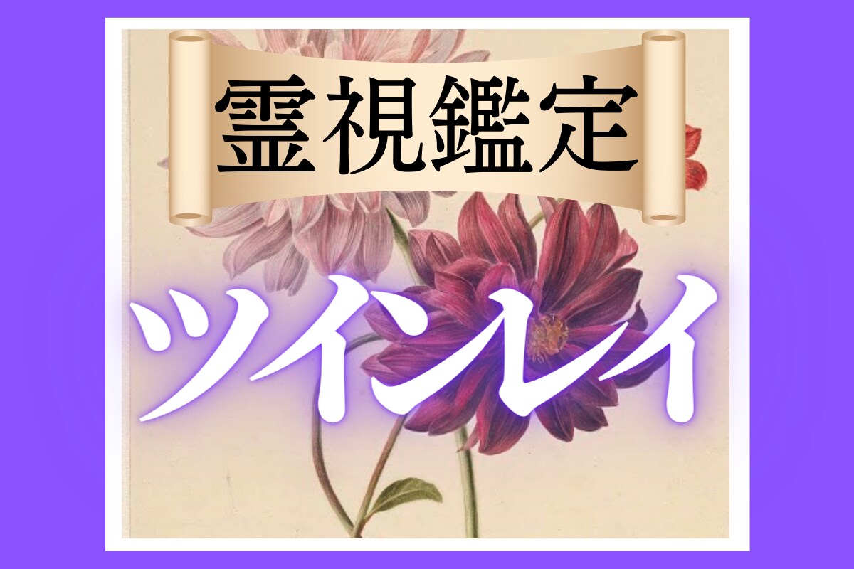 ツインレイ占い｜彼との"魂の絆"が明らかになります 守護霊様が教えてくれる、「二人の魂の絆」と「未来の可能性」 イメージ1