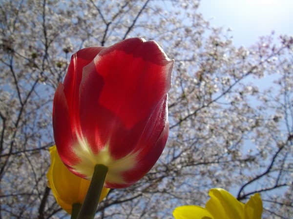話したい、聞いてほしいにそっと寄り添います 短時間でもOKです！愚痴でも何でもどうぞ。 イメージ2