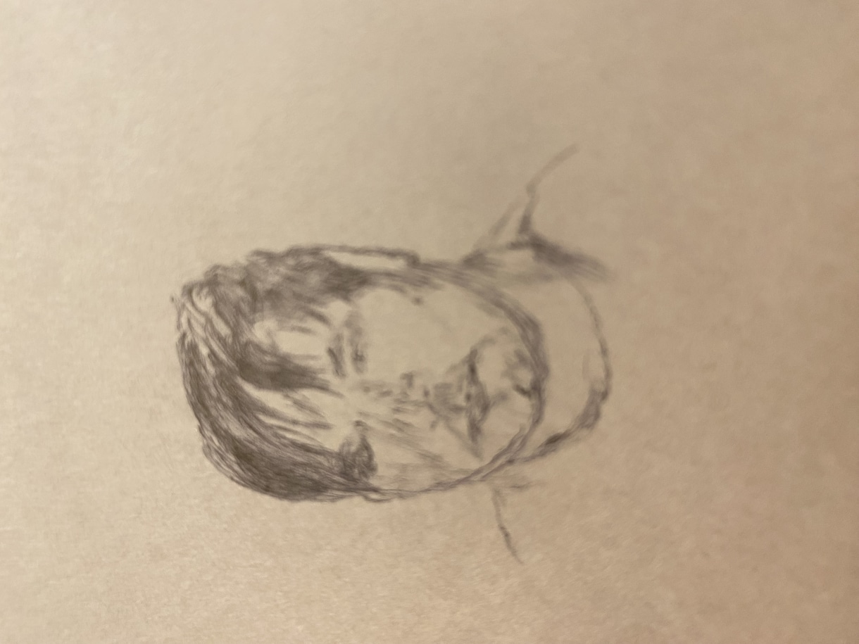 自画像 ボールペン字描きます ボールペンの細かい線で生きている様な自画像 画像紙色選べます イメージ2