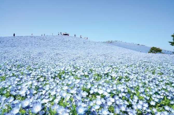 あなたの転職を後押しします 転職が当たり前の時代、辞めない美学はもう古い！ イメージ1