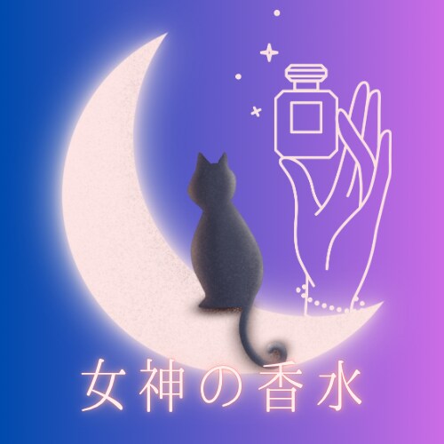 Canvaでインスタ画像制作＆投稿まで承ります インスタフィード•ストーリーズ画像制作だけでなく投稿も！ イメージ5