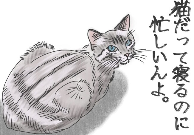 あなたのうちの子写真を元にイラストを描きます 複数枚写真をくださればその写真を元にアイコンを描きます！ イメージ2