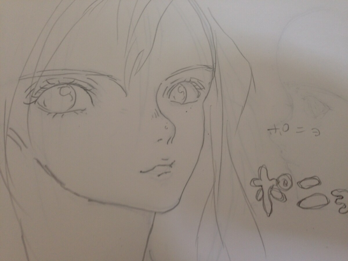 業界初！！3Ｄタレントで集客します 私たち来党は２Ｄ・3Ｄタレントの活躍の場を広めます！！ イメージ9
