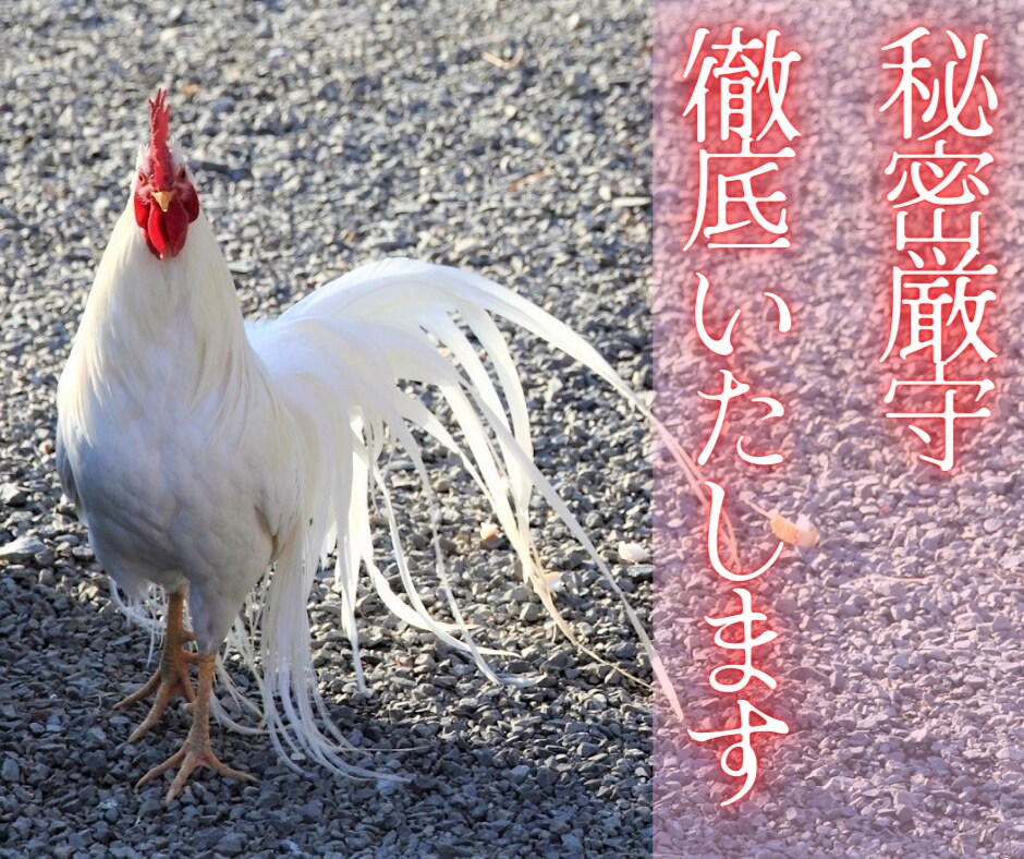 自慢話、なんでも聞きます 羨ましがられたい人、この指とまれ！ イメージ7