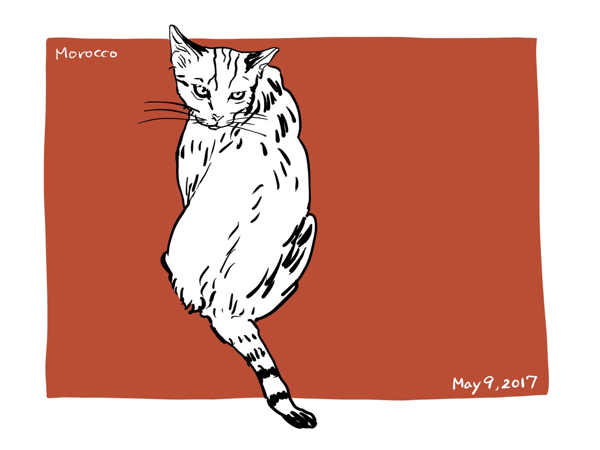 アイコンやグッズに使えるペット似顔絵を描きます ラフタッチでシンプル。自分だけのオリジナルグッズにも。 イメージ4