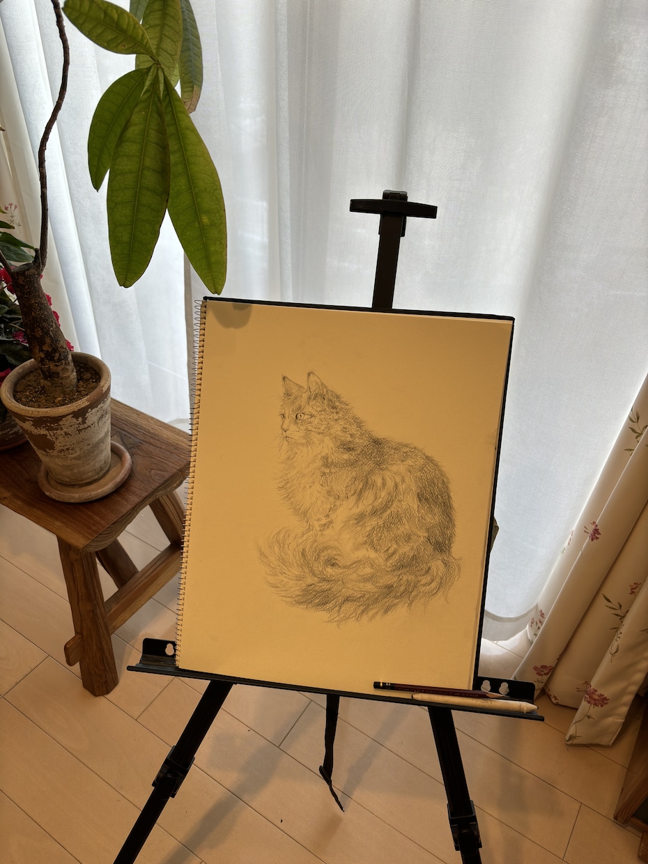 鉛筆画をご提供します 「生きている絵」をテーマに作品と向き合っております。 イメージ2