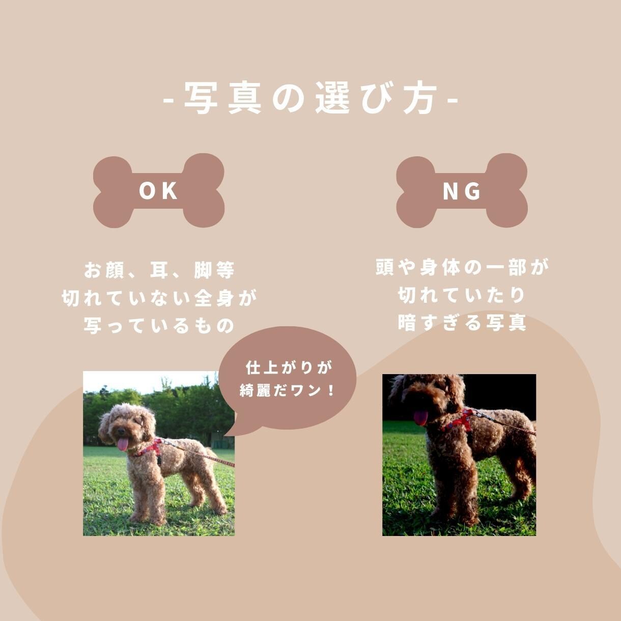 プロ仕様！おしゃれ可愛いLINEスタンプ制作します スマホに眠ってる写真をかわいいうちの子スタンプに変身！ イメージ5