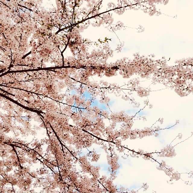 女性のための！お悩み事＆お困り事相談に乗ります 母、妻、嫁など日々たくさんの仕事をこなしている皆様のための！ イメージ1