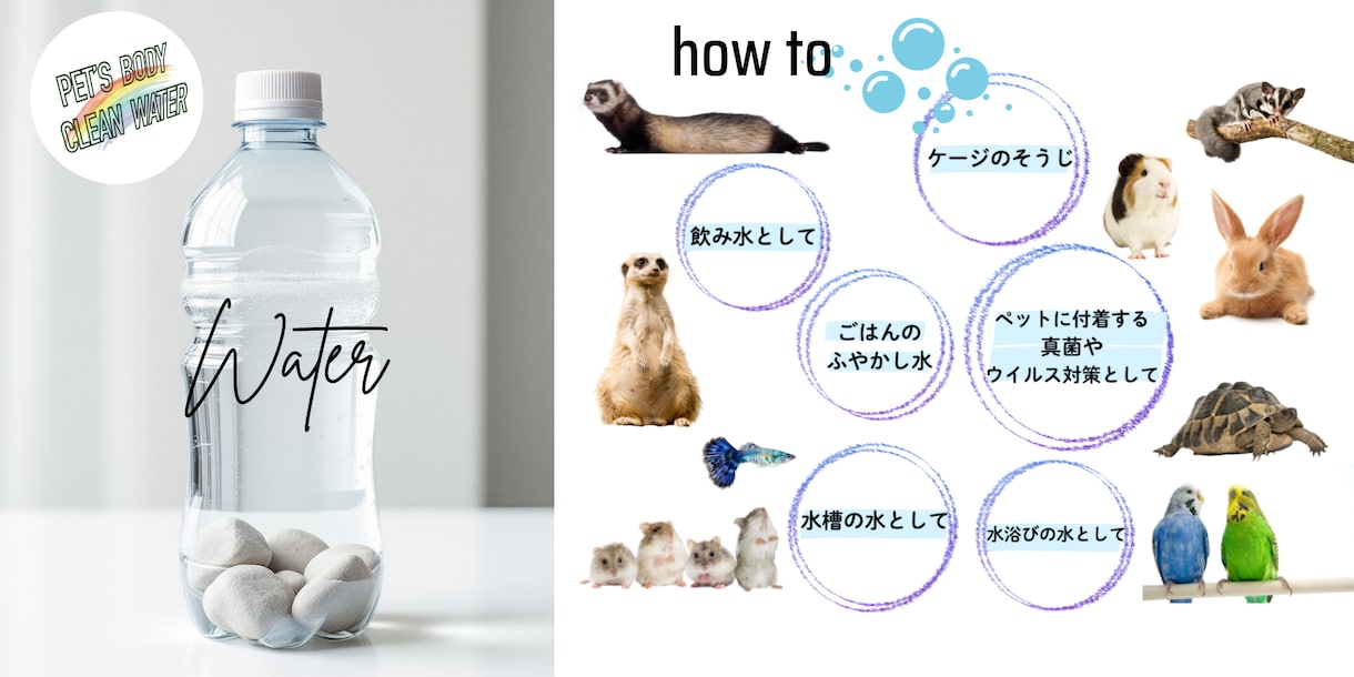 ペットのプロが制作！ペット専門広告作成します ペット業界26年犬、猫、小動物に特化した広告デザイン イメージ8
