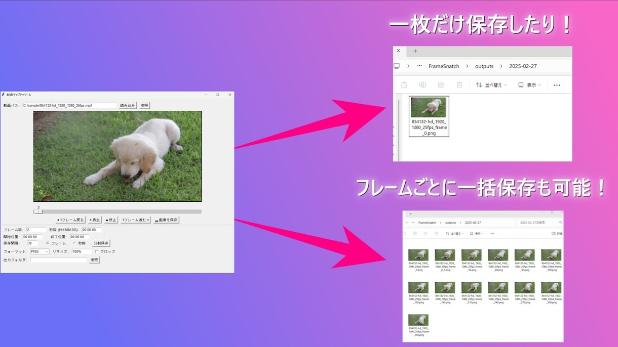 動画を画像に変換！シーンやフレームごとに分割します 動画から欲しいシーンを瞬時にキャプチャ！ イメージ2
