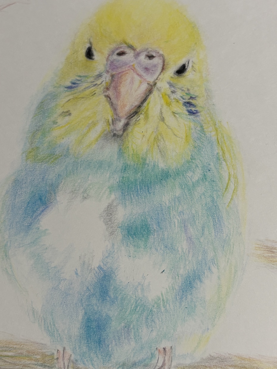 ペットや風景を絵や飾り額にします 見つめる瞬間こころ旅、、手描きだから伝わる想い。 イメージ7