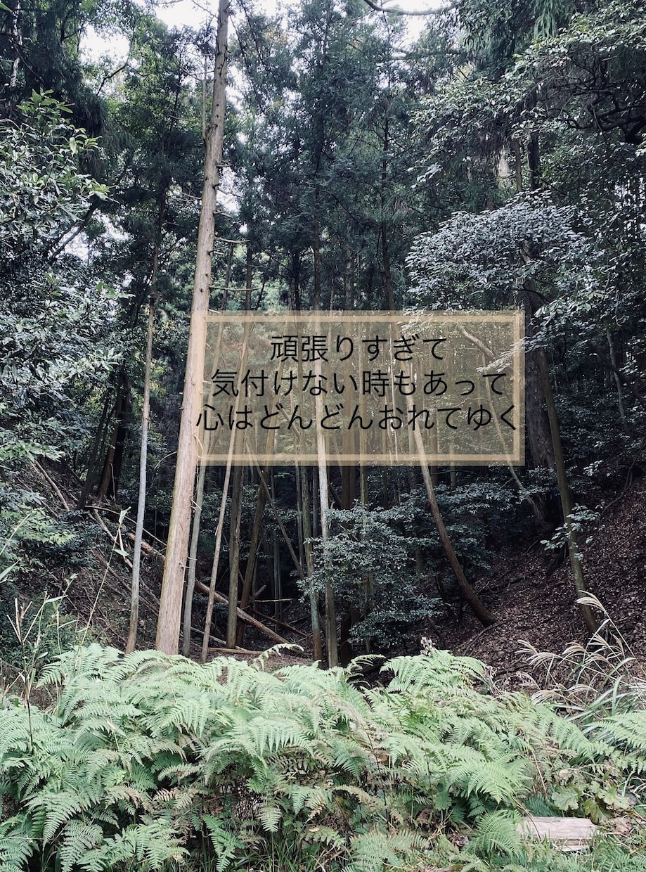あなたの話し相手になります どんな事でも大丈夫。否定せずあなたに寄り添います イメージ4