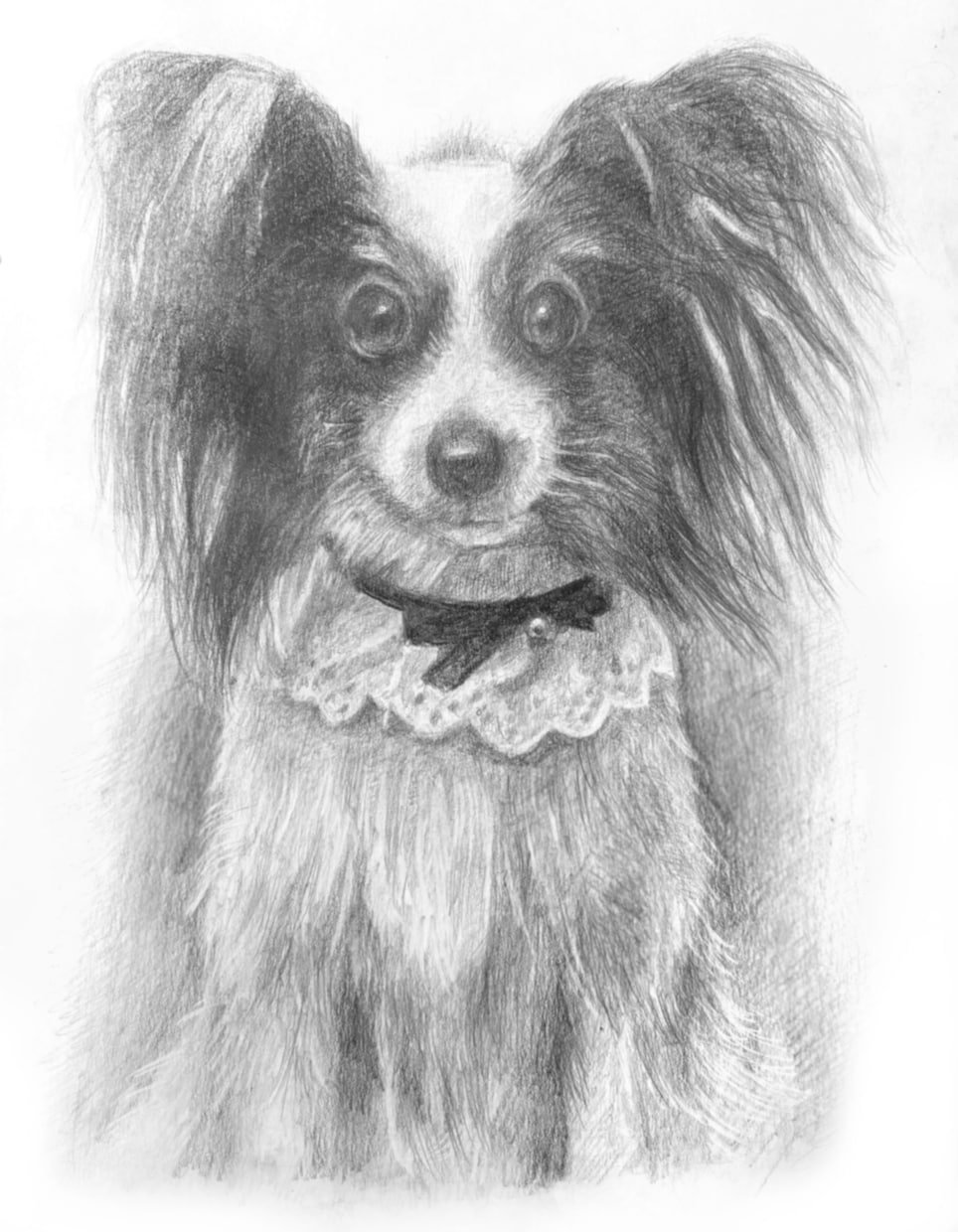 動物・写真から感動の一枚を制作します 「大切な家族の“今”を一枚の絵に」 イメージ8