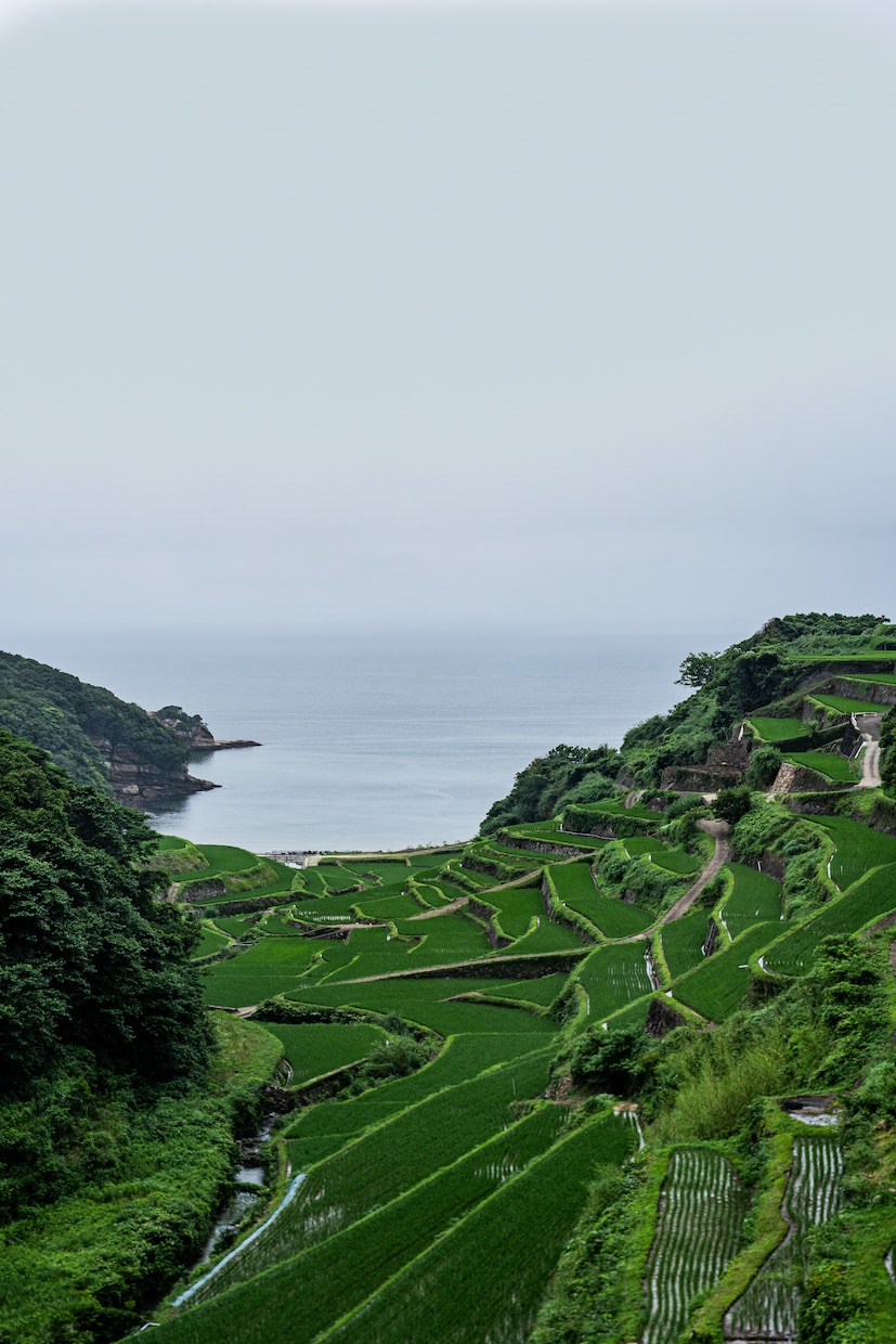 人混みを避けた国内ローカル旅プラン作ります 王道じゃない旅がしたい人へ、日本の隠れた魅力を知る旅へ イメージ6