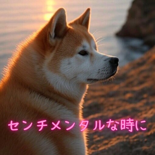 としこの部屋⭐秋田犬があなたのペットになります ⭐看板犬が、雑談・愚痴・恋愛…ご希望のお話をお聴きします⭐ イメージ8