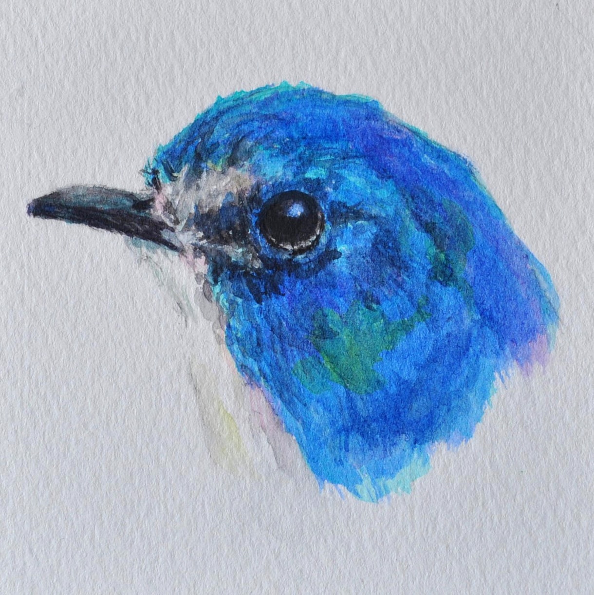 透明水彩絵の具でペットの肖像画を描きます 皆様の大切な家族をお描き致します。 イメージ5