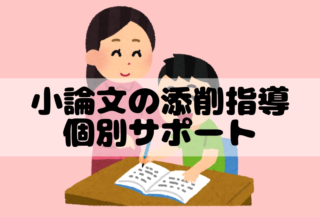 せんせいが小論文(公務員)の添削指導を行います 合格体験記の数は信頼の証！手厚いサポートが強みです。 イメージ1