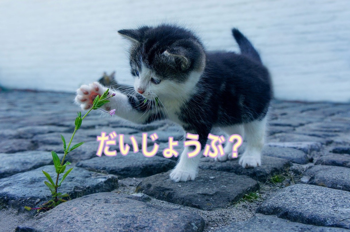 愚痴&お悩みお聞きします ☆小さな事でもお話下さい【女性限定】寄り添いホットライン❤️ イメージ2