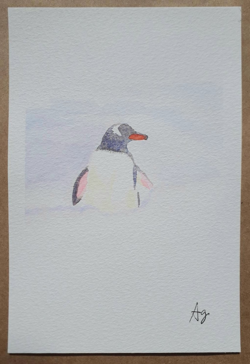 主にペンギンを描いてます 透明水彩を使用してペンギンの絵を描きます。 イメージ5