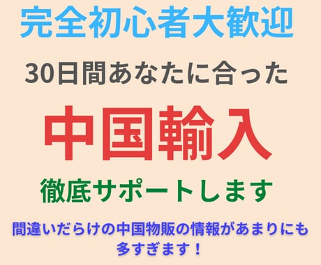 💬ココナラ｜中国輸入物販ビジネス30日間徹底サポートします   takanori358（タカノリ）  
                5.0
    …