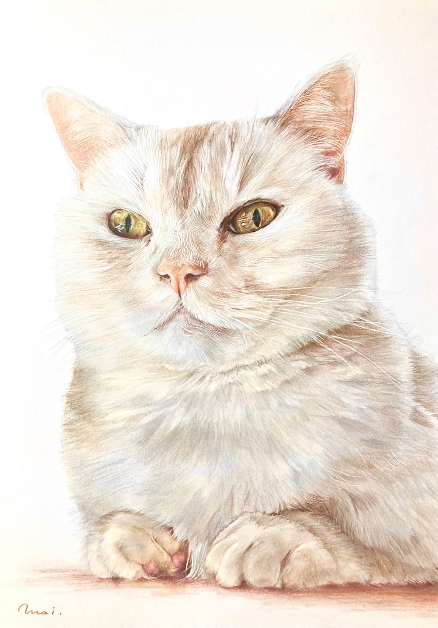 美大卒がペットちゃんの似顔絵お描きします ハイクオリティな色鉛筆画！プレゼントにおすすめ♪【額縁付き】 イメージ4
