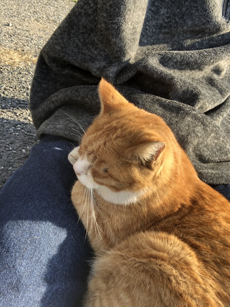 男子学生が貴方のお話をお聞きします お悩み相談、雑談、愚痴、どんな内容でもお聞きします！ イメージ2