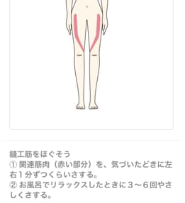 自律神経・心体・内臓バランスをグラフ化します なんとなくの不調・未病｜東洋医学・ヨガ・食事・筋肉ケア・経絡 イメージ10