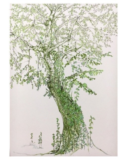 味のある植物のイラスト描きます 植物のある暮らしをまずは絵から始めませんか？ イメージ9