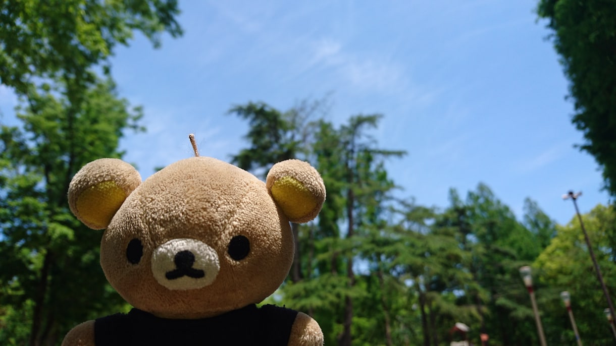 話相手☆愚痴聞きます 普段から人の話を聞くのが好きです、何でも聞きます イメージ1