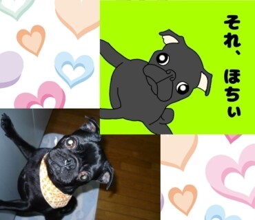 かわいいペットの似顔絵をLINEスタンプにします 鼻ぺちゃ犬が得意です（作成実績200枚以上！！） イメージ5