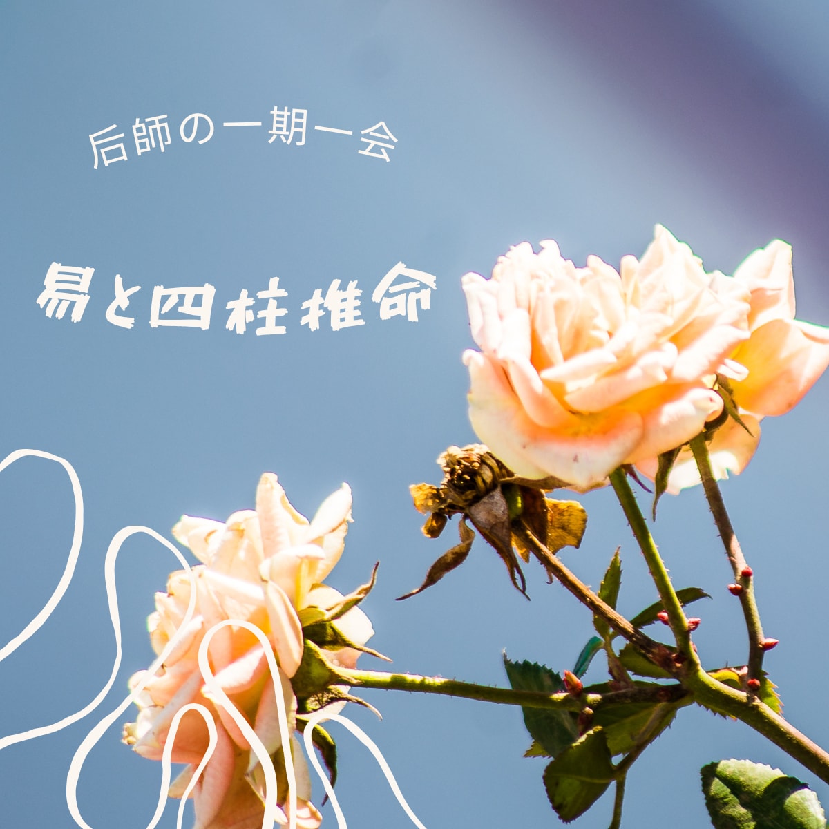 四柱推命と易でご相談を承ります 鑑定歴25年の経験で、あなたの悩みに進むべき道を見つけます イメージ1