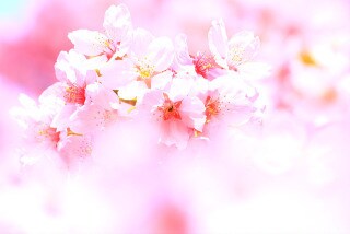 あなたがお相手と出会った意味は？ズバリお伝えします 24h以内鑑定可☆ふたりが出会った本当の理由をサクッと鑑定！ イメージ2