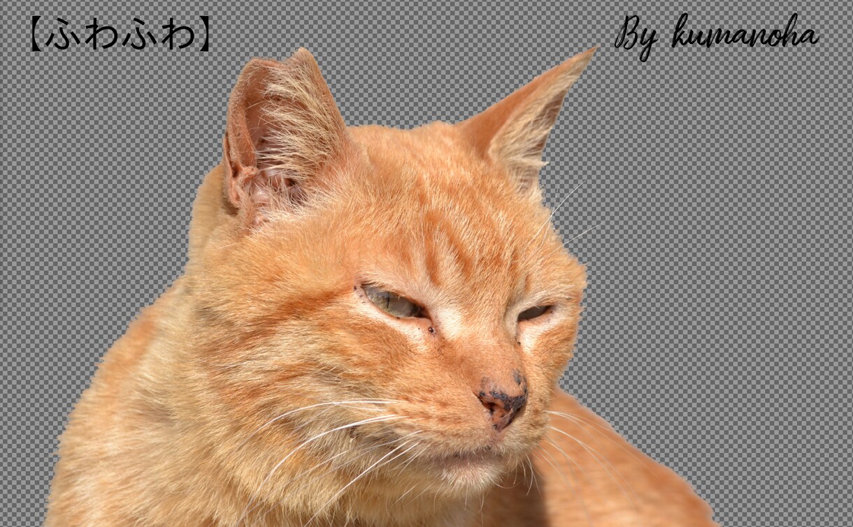 GIMPでの写真の切り抜きを承ります 全て手作業で切り抜いていきます！！ イメージ7