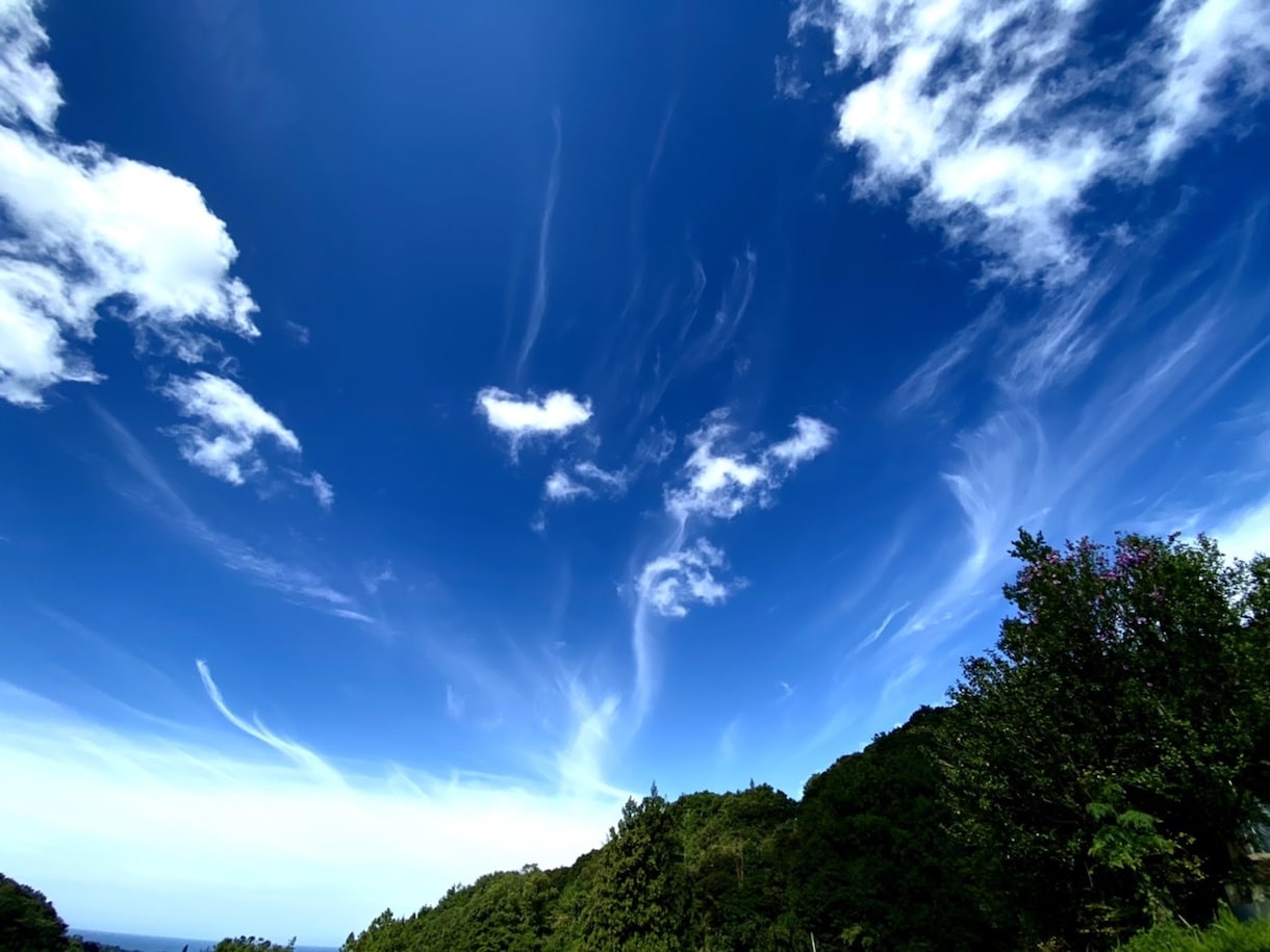 タロットでお悩み解決のお手伝いします 質問やどうしたいかハッキリしている人向きです。 イメージ1