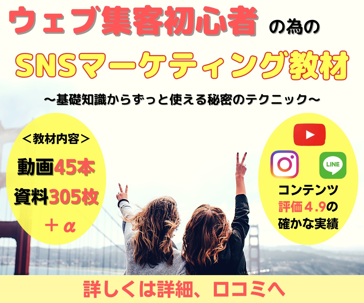 ウェブ集客初心者の為のSNS動画45本販売します SNSマーケティング/インスタ/YouTube/ライン イメージ1