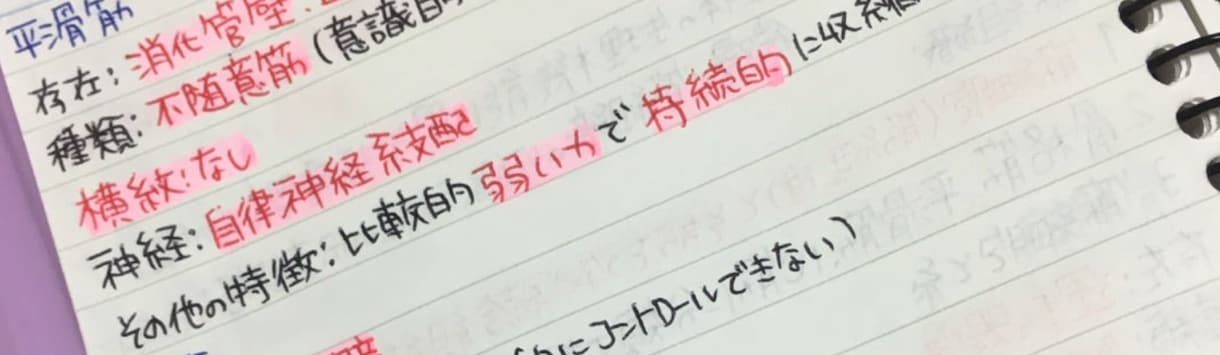 登録販売者の資格解説作成します 医薬品を覚え方などまとめてPDFでお渡しします イメージ2