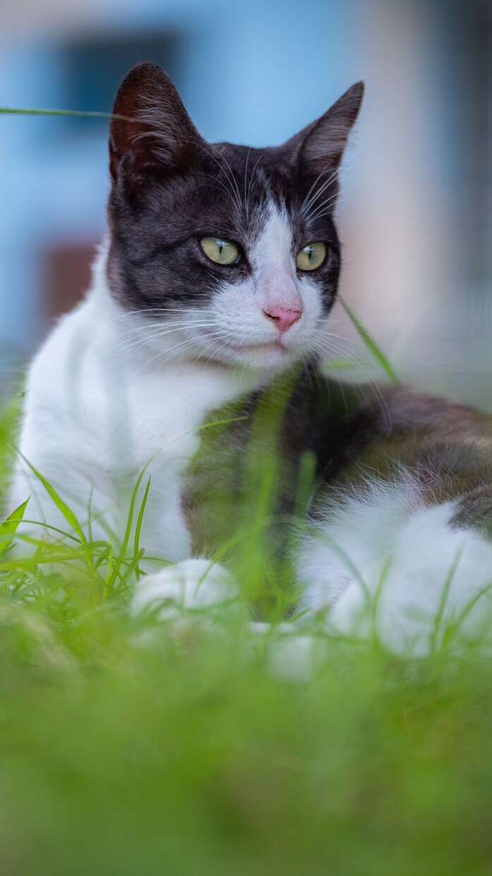 風景写真！カメラ初心者の方！写真の撮り教えます カメラ初心者カメラ入門一眼レフ イメージ3
