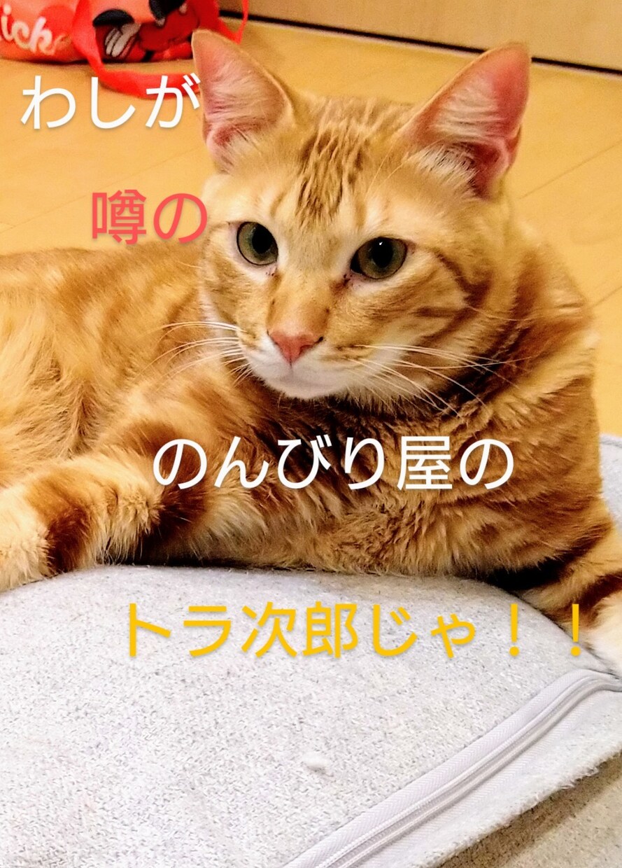貴方の心の隙間…のんびり傾聴致します 3児のパパがのんびりと貴方様の心の隙間をカバー致します♪♪ イメージ3