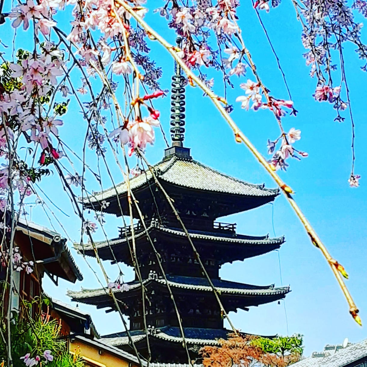 京都のお出かけをより快適に楽しくし提案します 京都好きな方への京都の魅力情報を案内 イメージ6